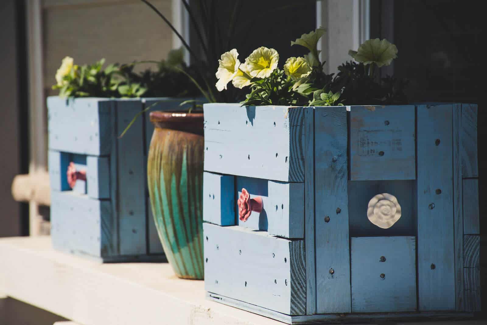 DIY Plant Boxes